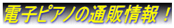 �d�q�s�A�m�̒ʔ̏��I 